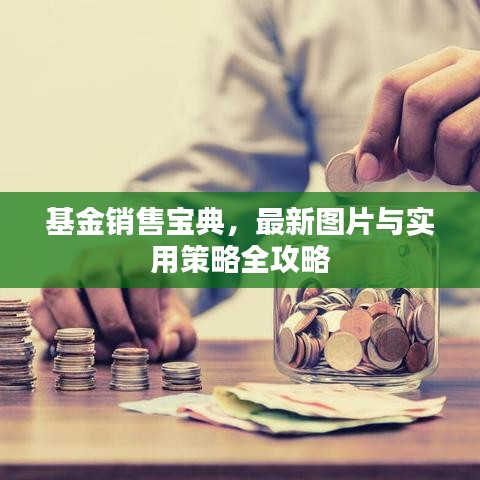 基金銷(xiāo)售寶典，最新圖片與實(shí)用策略全攻略