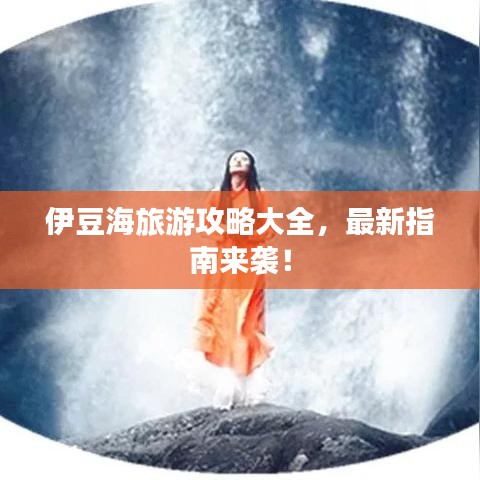 伊豆海旅游攻略大全，最新指南來襲！