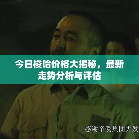 今日梭哈價格大揭秘，最新走勢分析與評估