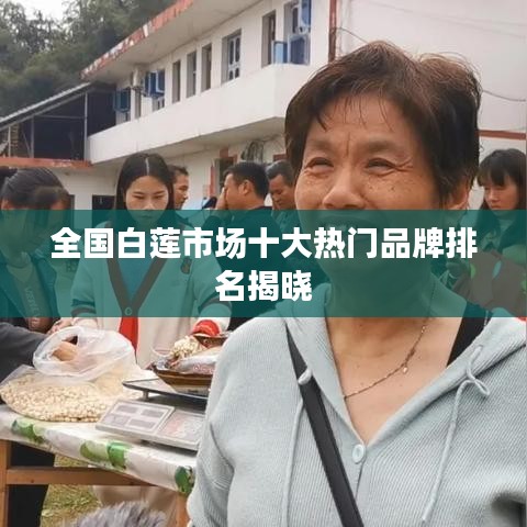 全國(guó)白蓮市場(chǎng)十大熱門品牌排名揭曉