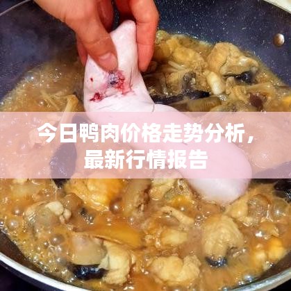今日鴨肉價(jià)格走勢分析，最新行情報(bào)告