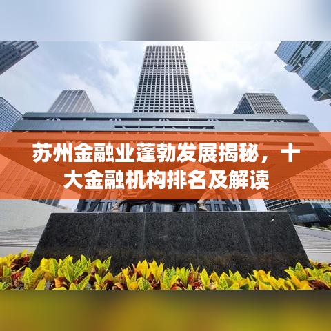 蘇州金融業(yè)蓬勃發(fā)展揭秘，十大金融機(jī)構(gòu)排名及解讀
