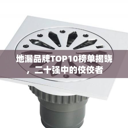 地漏品牌TOP10榜單揭曉，二十強中的佼佼者