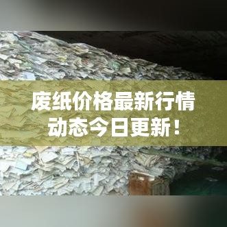 廢紙價(jià)格最新行情動態(tài)今日更新！