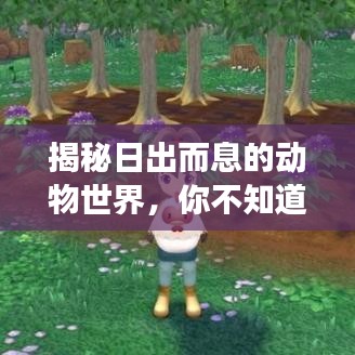 揭秘日出而息的動(dòng)物世界，你不知道的神奇現(xiàn)象！