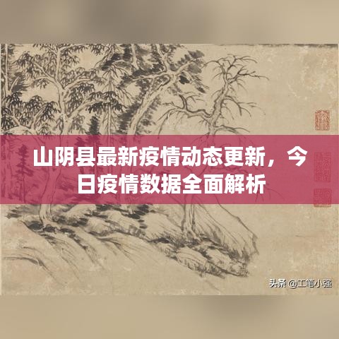 山陰縣最新疫情動態(tài)更新，今日疫情數(shù)據(jù)全面解析