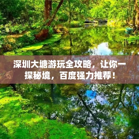 深圳大塘游玩全攻略，讓你一探秘境，百度強(qiáng)力推薦！