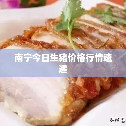 南寧今日生豬價(jià)格行情速遞