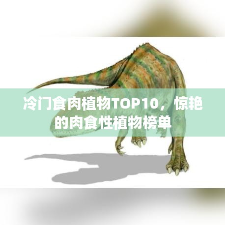 冷門食肉植物TOP10，驚艷的肉食性植物榜單