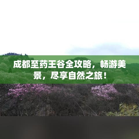 成都至藥王谷全攻略，暢游美景，盡享自然之旅！