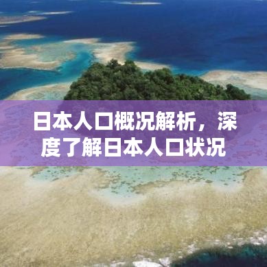 日本人口概況解析，深度了解日本人口狀況