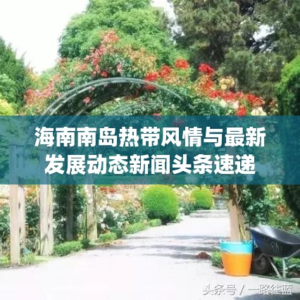 海南南島熱帶風(fēng)情與最新發(fā)展動態(tài)新聞頭條速遞