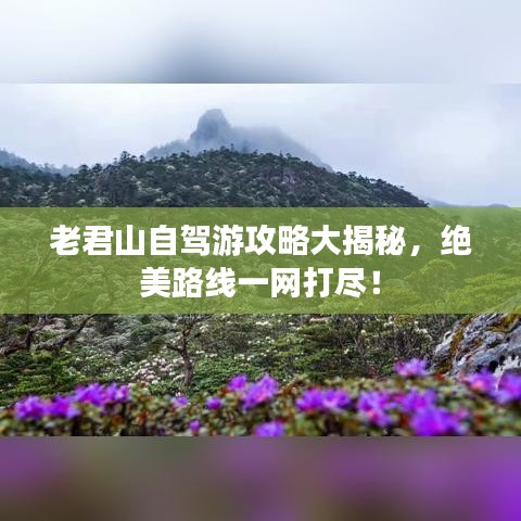 老君山自駕游攻略大揭秘，絕美路線一網(wǎng)打盡！