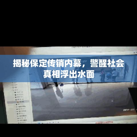 揭秘保定傳銷內(nèi)幕，警醒社會(huì)真相浮出水面