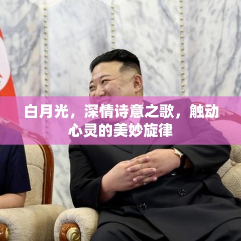白月光，深情詩意之歌，觸動(dòng)心靈的美妙旋律