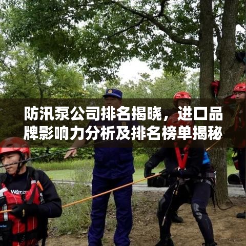 防汛泵公司排名揭曉，進(jìn)口品牌影響力分析及排名榜單揭秘