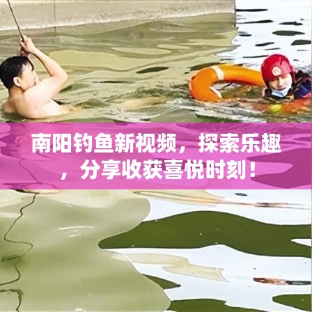 南陽釣魚新視頻，探索樂趣，分享收獲喜悅時刻！