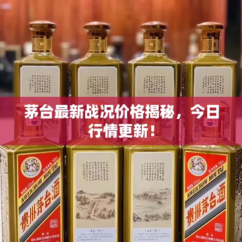 茅臺最新戰(zhàn)況價格揭秘，今日行情更新！