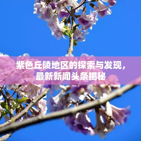 紫色丘陵地區(qū)的探索與發(fā)現(xiàn)，最新新聞?lì)^條揭秘