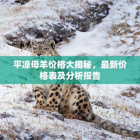 平?jīng)瞿秆騼r格大揭秘，最新價格表及分析報告