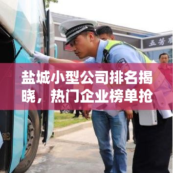 鹽城小型公司排名揭曉，熱門企業(yè)榜單搶先看！