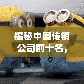 揭秘中國傳銷公司前十名，警示風險，遠離陷阱！