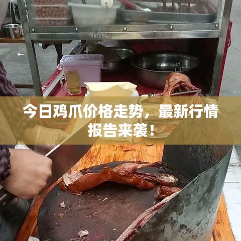 今日雞爪價格走勢，最新行情報告來襲！
