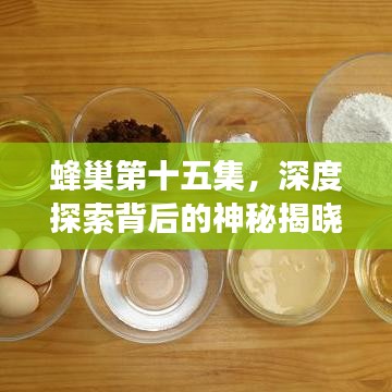 蜂巢第十五集，深度探索背后的神秘揭曉之旅