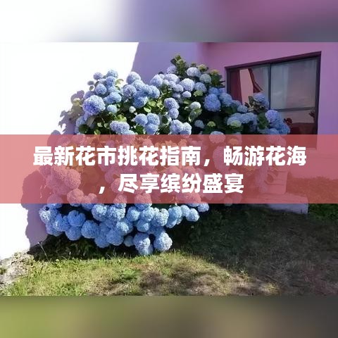 最新花市挑花指南，暢游花海，盡享繽紛盛宴