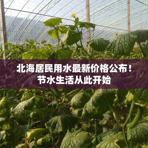北海居民用水最新價(jià)格公布！節(jié)水生活從此開(kāi)始