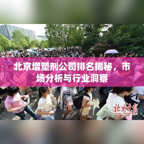 北京增塑劑公司排名揭秘，市場分析與行業(yè)洞察