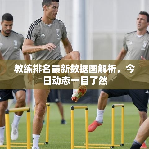 教練排名最新數(shù)據(jù)圖解析，今日動態(tài)一目了然