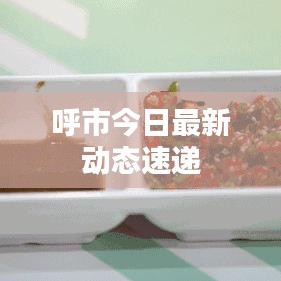 呼市今日最新動(dòng)態(tài)速遞