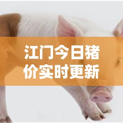 江門今日豬價(jià)實(shí)時(shí)更新，最新行情查詢