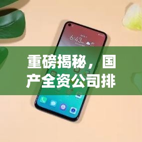 重磅揭秘，國(guó)產(chǎn)全資公司排名及影響力深度剖析