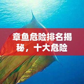 章魚危險(xiǎn)排名揭秘，十大危險(xiǎn)品種上榜
