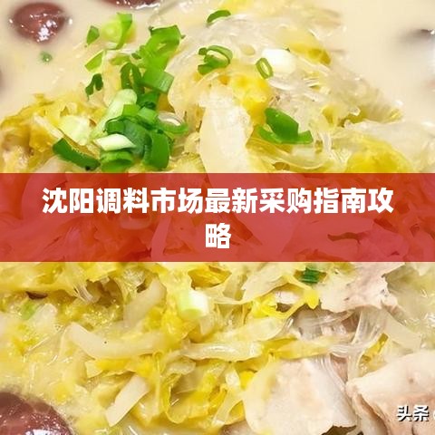 沈陽(yáng)調(diào)料市場(chǎng)最新采購(gòu)指南攻略