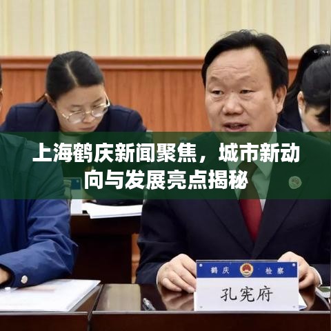 上海鶴慶新聞聚焦，城市新動(dòng)向與發(fā)展亮點(diǎn)揭秘