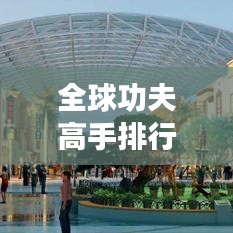 全球功夫高手排行榜揭秘！